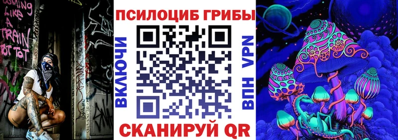 Галлюциногенные грибы Psilocybe  купить наркоту  Первоуральск 